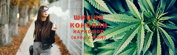 spice Армянск