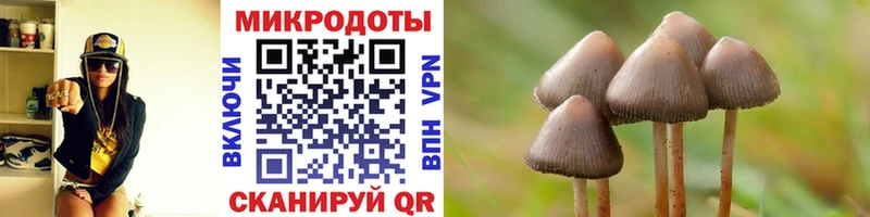 Купить где  Строитель  Галлюциногенные грибы Magic Shrooms 
